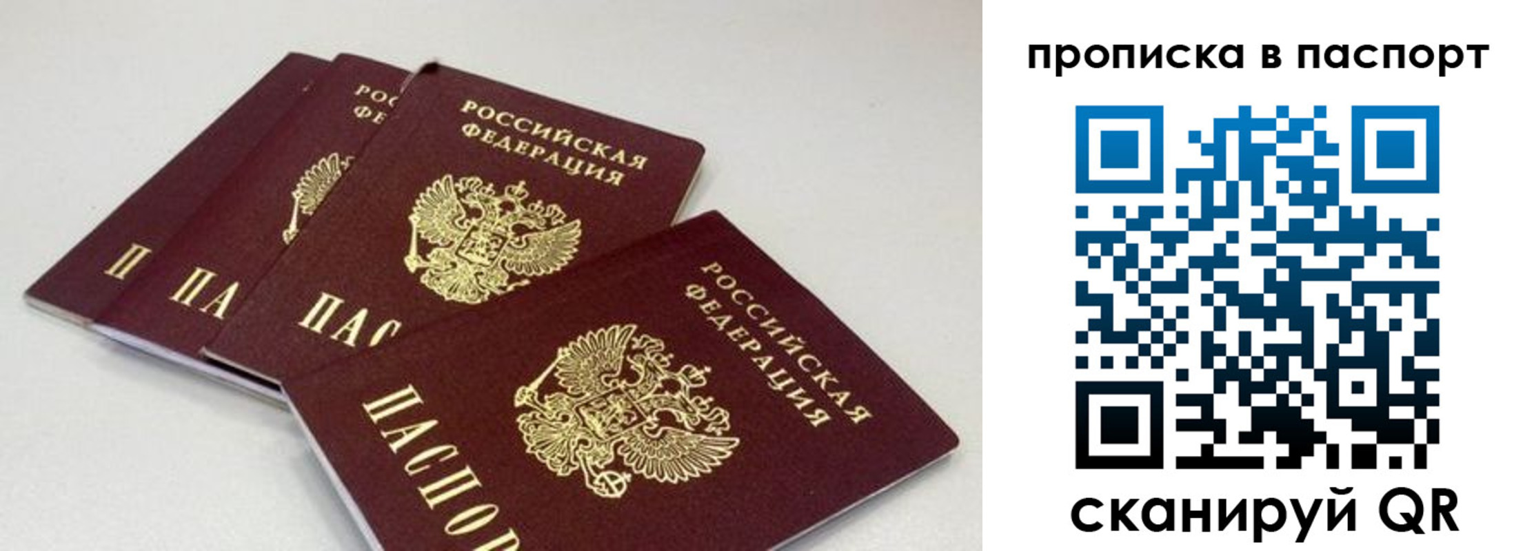 найти адрес прописки в Челябинской области